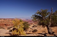Photo by USA Picture Visitor | Not in a City  canyonlands